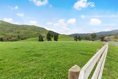 /international/nz/te-aroha-matamata-piako-380066099537/
