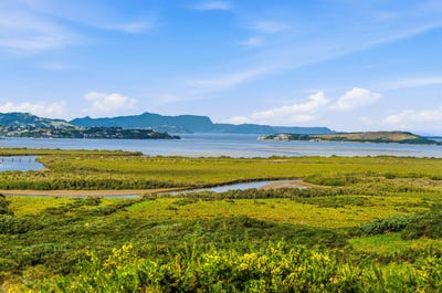 /international/nz/30-toetoe-road-otaika-whangarei-380066116154/