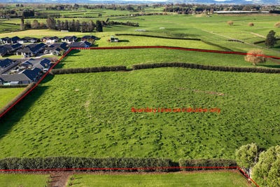 /international/nz/te-awamutu-waipa-380066079552/