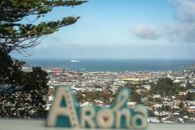 /international/nz/hataitai-wellington-380066123268/