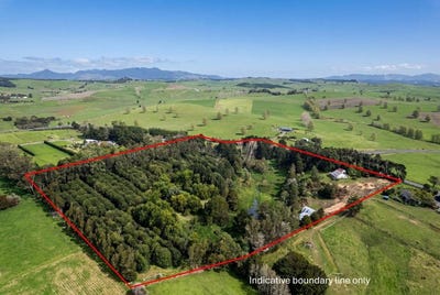 /international/nz/8-draffin-road-poroti-whangarei-380066098623/