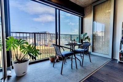 /international/nz/albany-north-shore-city-380066168412/