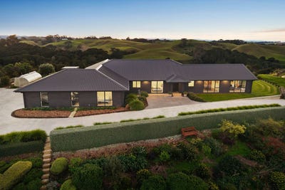 /international/nz/waiuku-franklin-380066079224/