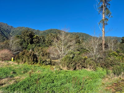 /international/nz/0-state-highway-franz-josef-glacier-westland-380066104684/
