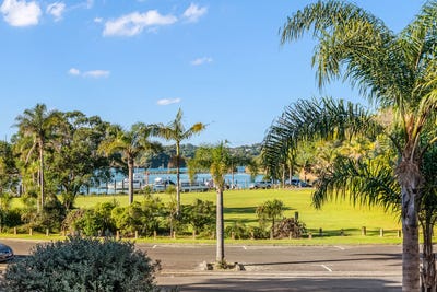 /international/nz/tutukaka-whangarei-380066119544/