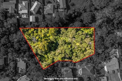 /international/nz/titirangi-waitakere-city-380066079776/