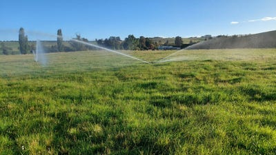 /international/nz/691-kauru-hill-road-five-forks-and-surrounds-waitaki-380066075657/