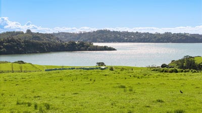 /international/nz/okura-north-shore-city-380066086652/