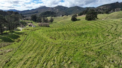 /international/nz/2164-te-mai-road-tinui-masterton-380066083756/
