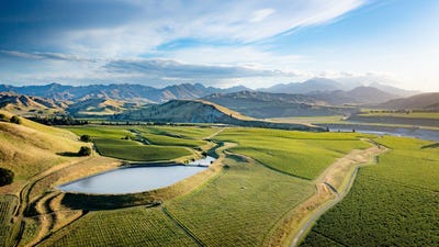 /international/nz/413-upton-downs-road-seddon-marlborough-380066077569/