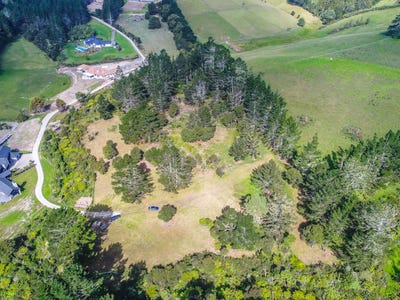 /international/nz/129-foley-quarry-road-dairy-flat-rodney-380066086885/