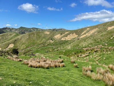 /international/nz/384-waikakahi-road-pongaroa-tararua-380066081929/