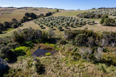/international/nz/91-keith-road-and-587-ormiston-road-ruakaka-whangarei-380066100894/