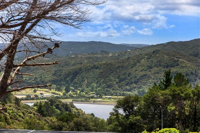 /international/nz/kaitoke-upper-hutt-city-380066114710/