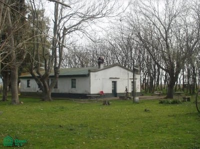 /international/ar/chascomus-la-plata-la-plata-gba-sur-buenos-aires-310065296438/