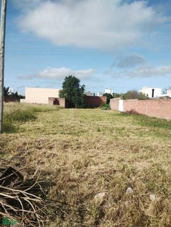 /international/ar/witcomb-2945-bahia-blanca-buenos-aires-fuera-de-gba-8000-buenos-aires-310065351957/