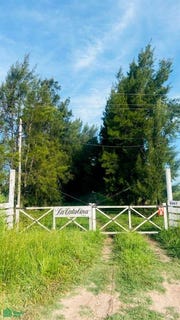 /international/ar/ruta-215-s-n-brandsen-gba-sur-brandsen-buenos-aires-310065349839/
