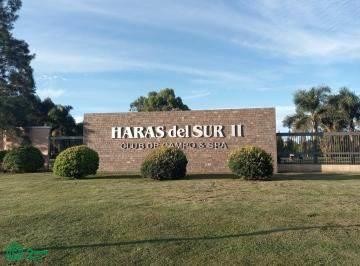 /international/ar/haras-del-sur-ii-s-n-haras-del-sur-ii-brandsen-gba-sur-brandsen-buenos-aires-310065287166/