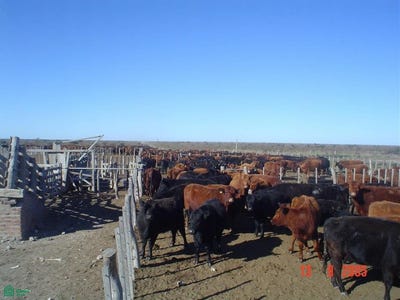 /international/ar/interseccion-de-las-rutas-provinciales-26-y-19-s-n-la-pampa-cordoba-la-pampa-province-310065349803/