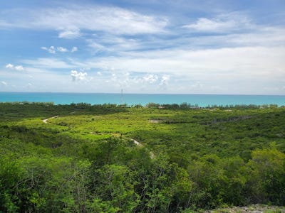 /international/bs/top-of-zion-hill-cat-isl-cat-island-cat-island-310000000854/