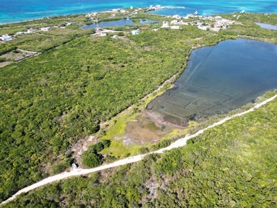 /international/bs/vicinity-of-clarence-town-long-island-long-island-310000000412/