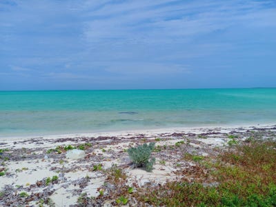 /international/bs/beachfront-mayaguana-mayaguana-mayaguana-310000001014/