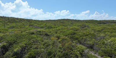 /international/bs/long-island-long-island-long-island-310000000947/