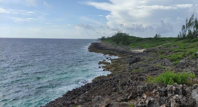 /international/bs/morgan-s-drive-bluff-road-andros-central-andros-310000000832/