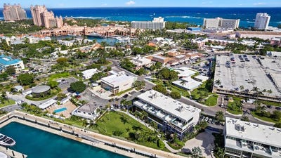 /international/bs/paradise-premium-foods-new-providence-paradise-island-new-providence-paradise-island-310000006848/