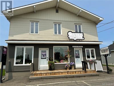 /international/ca/95-97-chemin-tobique-grand-sault-grand-falls-new-brunswick-310058458260/