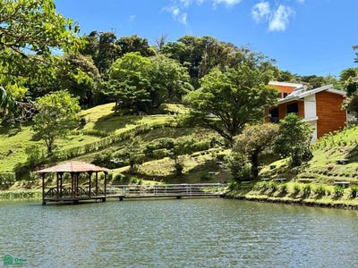 /international/cr/monteverde-monteverde-puntarenas-puntarenas-puntarenas-puntarenas-310065306602/