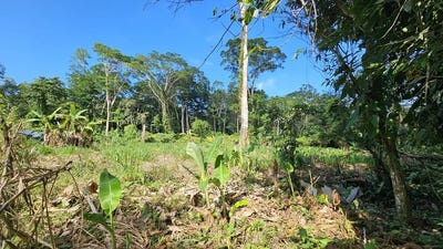 /international/cr/id-809-3960m²-flat-development-lot-near-cahuita-costa-rica-puerto-viejo-limon-310000159100/