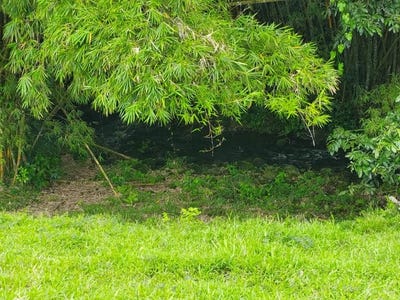 /international/cr/spectacular-working-cattle-ranch-guacimo-limon-costa-rica-80-ha-197-6-acres-spectacular-working-cattle-ranch-guacimo-limon-costa-rica-80-ha-197-6-acres-finca-ganadera-bonifacio-barrio-el-hogar-limon-310000014089/