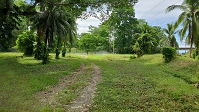 /international/cr/near-the-coast-development-parcel-for-sale-in-moin-moin-limon-310000159258/