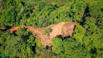 /international/cr/chontales-puerto-cortes-osa-puntarenas-osa-puntarenas-310066480389/