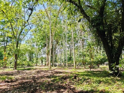 /international/cr/id-836-lot-3-5210-sqm-new-development-on-old-yard-road-cahuita-300-meters-to-the-beach-puerto-viejo-limon-310000159310/