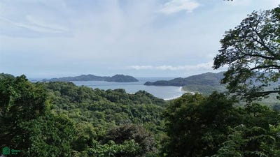 /international/cr/gated-community-bellevue-proyecto-isla-tortuga-paquera-puntarenas-puntarenas-puntarenas-puntarenas-310065309207/