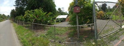 /international/cr/farm-home-in-blanco-ideal-retirement-farm-at-the-foot-of-the-rainforest-rio-blanco-limon-310000015546/