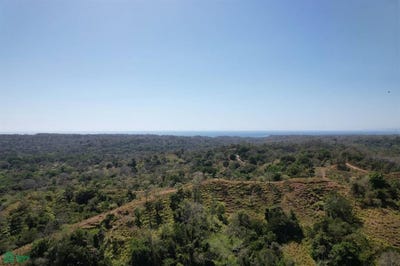 /international/cr/manzanillo-development-parcel-near-santa-teresa-manzanillo-puntarenas-puntarenas-puntarenas-puntarenas-310065303600/