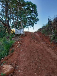 /international/cr/-san-luis-turrubares-san-jose-turrubares-san-jose-310066480407/