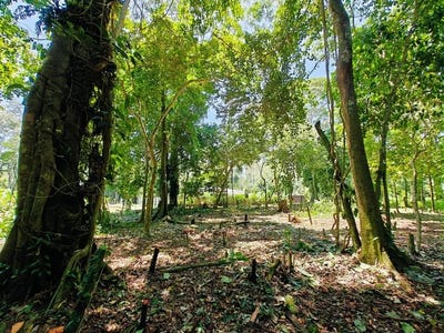 /international/cr/id-879-lot-5-2237-sqm-creekside-titled-lot-near-playa-grande-cahuita-old-yard-development-puerto-viejo-limon-310000159136/