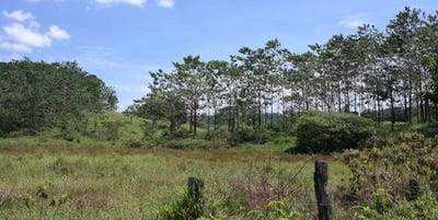 /international/cr/countryside-and-mountain-property-for-sale-in-pococi-colorado-colorado-pococi-limon-costa-rica-pococi-limon-310000013717/