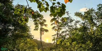 /international/cr/-puntarenas-puntarenas-puntarenas-puntarenas-puntarenas-310065304778/