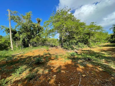 /international/do/sosua-sosua-puerto-plata-310060132873/