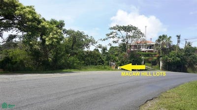 /international/hn/0-46-acres-lot-4-in-macaw-hill-roatan-islas-de-la-bahia-roatan-bay-islands-department-310066478071/
