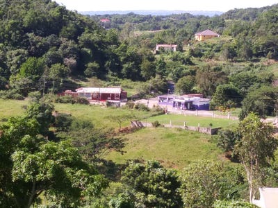 /international/jm/cedars-mocho-mocho-clarendon-310000011702/