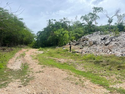 /international/jm/lot-8-woodside-woodside-clarendon-310000011137/