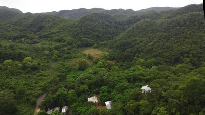 /international/jm/canoe-valley-ashley-s-chapleton-clarendon-310000011942/