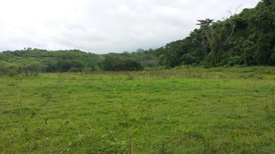 /international/jm/rock-river-main-road-becford-kraal-clarendon-310000009800/