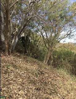 /international/mx/centro-de-salud-0-mazunte-santa-maria-tonameca-oaxaca-santa-maria-tonameca-oaxaca-310065307583/